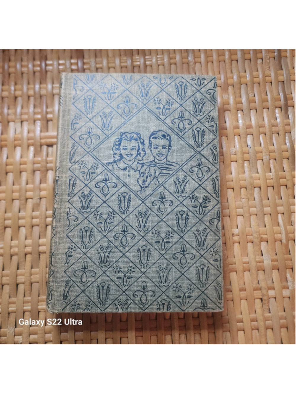 1932 The Bobbsey Twins at the Circus Laura Lee Hope Grosset & Dunlap Hardcover